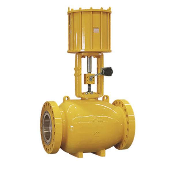 Other  valves
